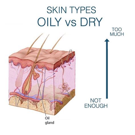 Talking Skin Types Dry Skin Skin Lounge