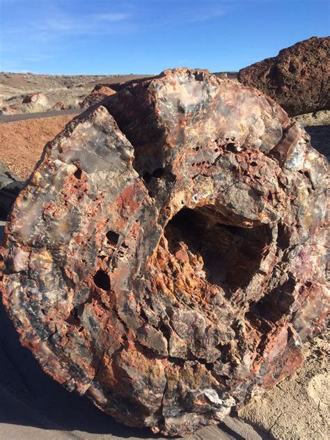This park is linked to painted desert. Petrified Wood in the Petrified Forest National Park ...