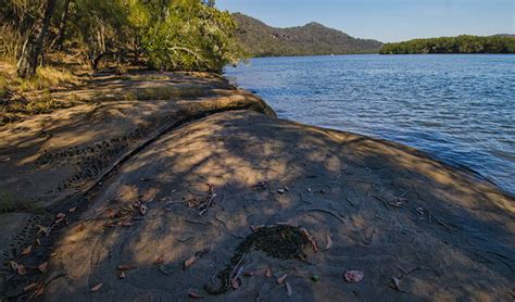 A two day, one night kayaking trip on the hawkesbury river from wisemans ferry to brooklyn. Gentlemans Halt campground | NSW National Parks