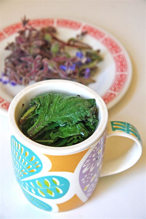 This is the second of the two teas — a. Uses For Borage | POPSUGAR Food
