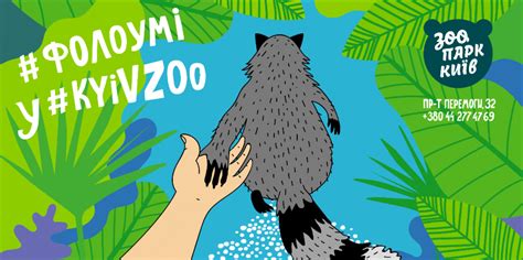 Отметим, харьковский зоопарк — один из самых ожидаемых в городе объектов, который сейчас находится на масштабной реконструкции. Зоопарк Киева заработал после ремонта. Фото