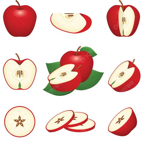 Red Apple Climate Icons Seed Vector, Climate, Icons, Seed PNG and
