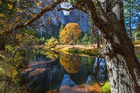 Yosemite Wallpaper Nature Forest Yosemite 5k
