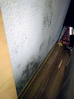 Deshalb verrückte er die möbel und platzierte den kleiderschrank an der außenwand. Überraschung beim Frühjahrsputz - Schimmel hinter dem ...