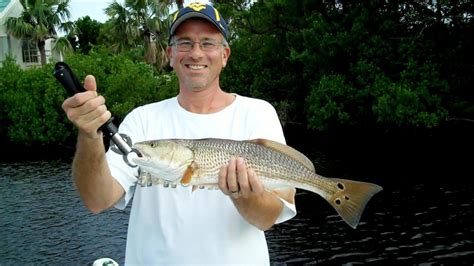 Live target mullet, the flare hawk jig and the johnson silver minnow spoon are great artificials to use for snook. SW Florida Fishing Guides for Snook Fishing