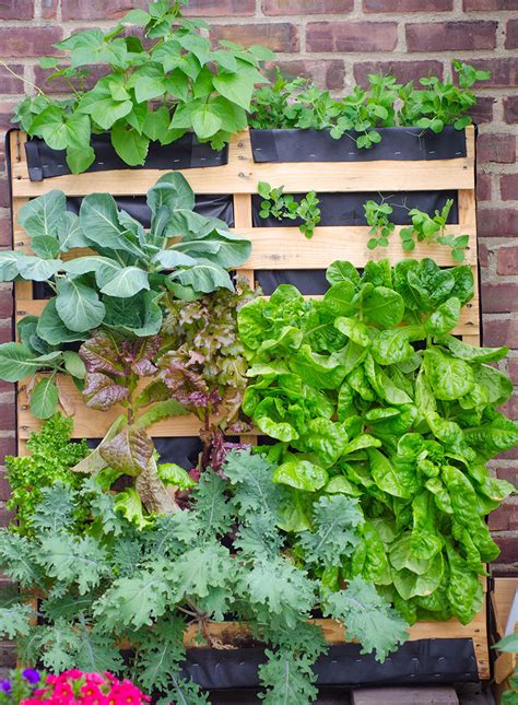 Upcycle Old Pallets To Make Beautiful Vertical Gardens Off Grid World