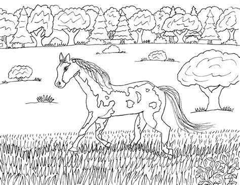 40+ appaloosa horse coloring pages for printing and coloring. Robin's Great Coloring Pages: September 2017
