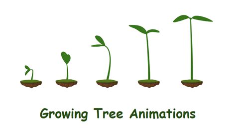 Growing Plant Animation