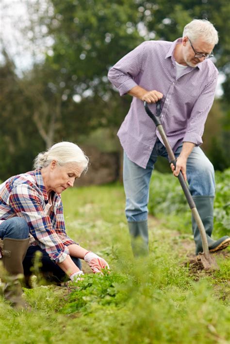 The Benefits Of Gardening For Older People Benefits Of Gardening Old