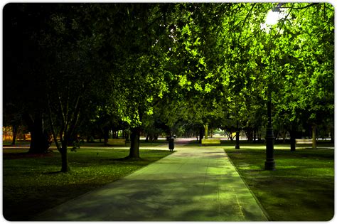 Park at night by dvcomk Park at night by dvcomk | Park, Urban park, Garden park