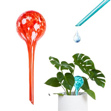 Indooroutdoor Plant Self Watering Globes Wise Living