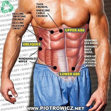 Different Exercises Workout Different Parts Of Your Abs Learn