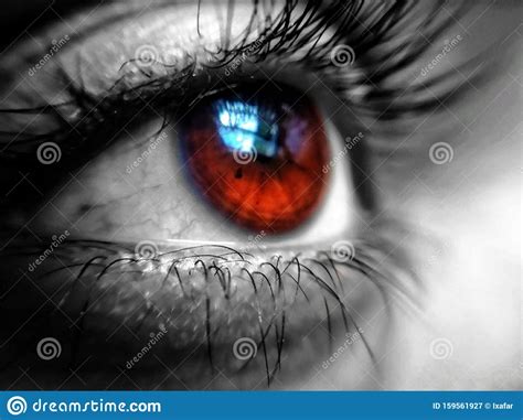 Beauty Is In The Eye Of The Beholder Stock Image Image Of Beholder