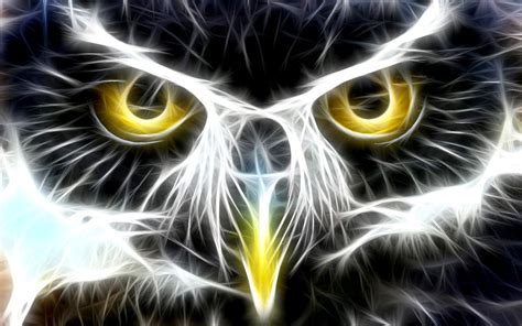 Fractal Owl Art Id 25325