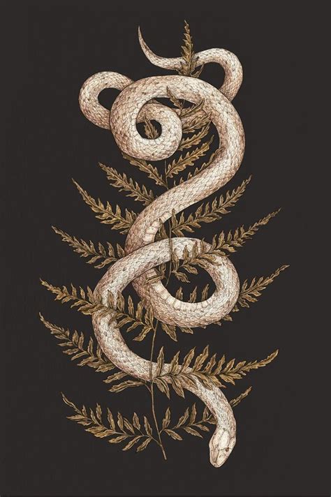 Snake Art Wallpapers Top Free Snake Art Backgrounds Wallpaperaccess