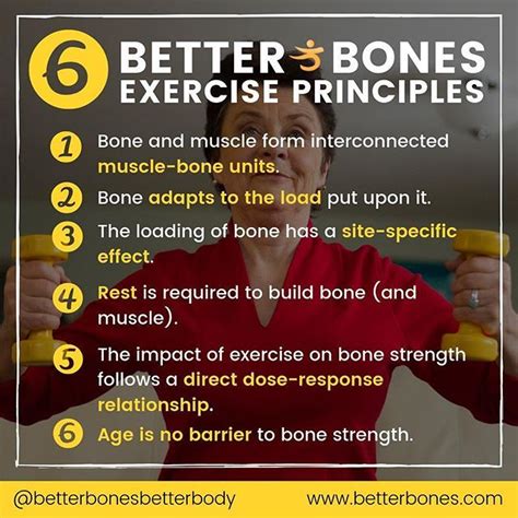 Osteoporosis And Exercise The Better Bones Better Body® Exercise