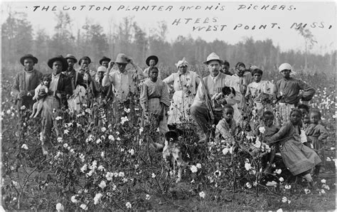 Cotton Pickers In Mississippi 1908 Thewaywewere