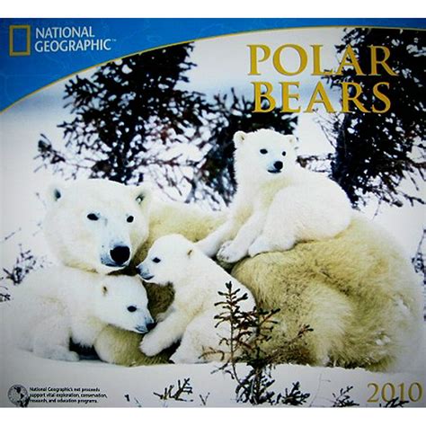 National Geographic Polar Bears