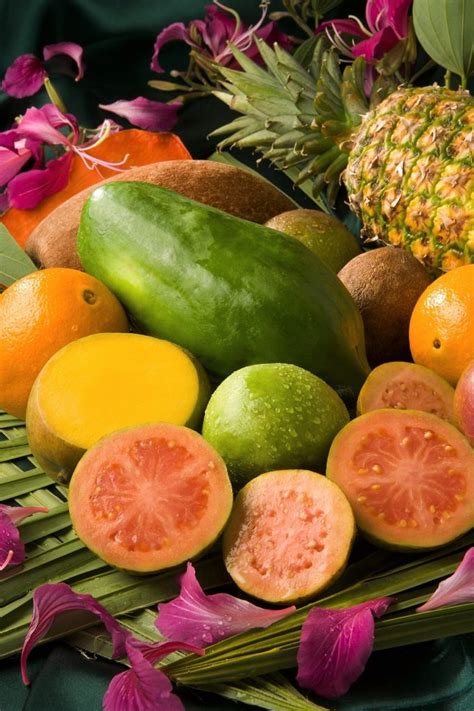 Frutas Tropicales Tropicana Frutas Del Mundo