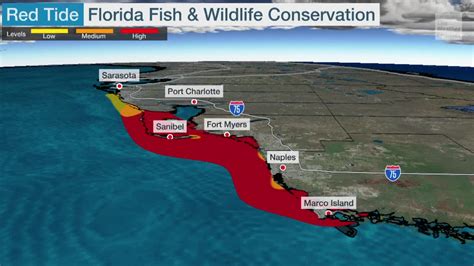 Red Tide Grows Drastically Off Floridas West Coast The