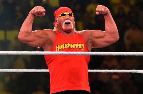 Hulk Hogan Back Into Ring Shape Photo
