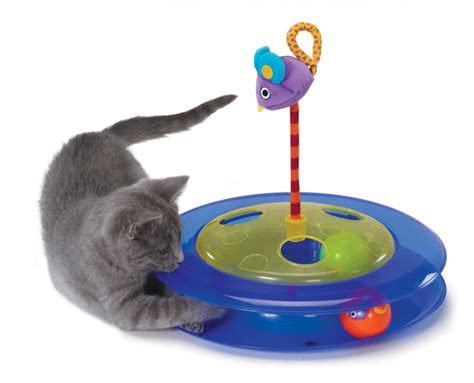 10 Toys To Bring Out The Kitten In Your Senior Cat