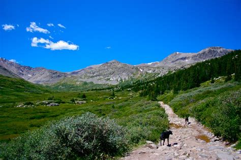 Colorado Lifestyle Wheeler Lake