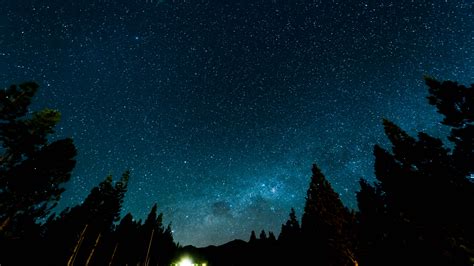 Galaxy Stars Lights Forest Night 5k Wallpaper Photos Cantik
