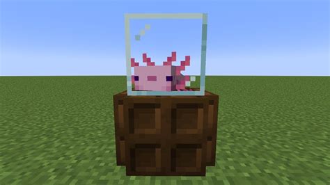 Axolotl Cage In Minecraft Youtube