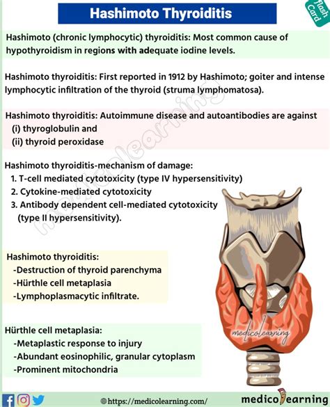 Hashimotos Disease Chronic Lymphocytic Thyroiditis Medicolearning