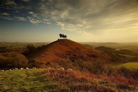 Colmers Hill Symondsbury Wikipedia Places To Visit Monument