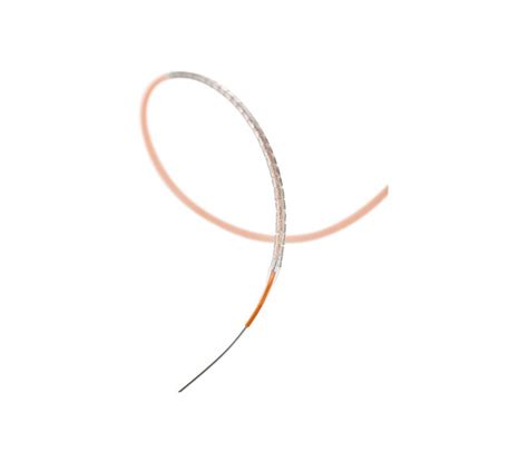 Xience Sierra Everolimus Eluting Coronary Stent Abbott Vascular