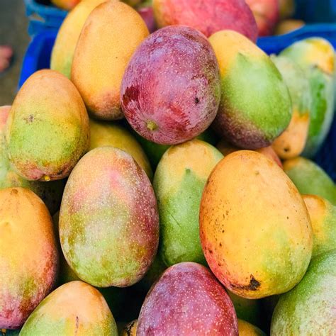 The Best And Most Sweet Mangoes Are The Bani Tiplr