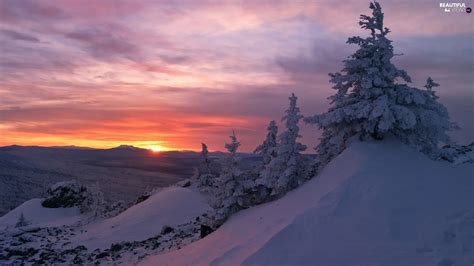 Viewes Mountains Great Sunsets Winter Spruces Trees Beautiful