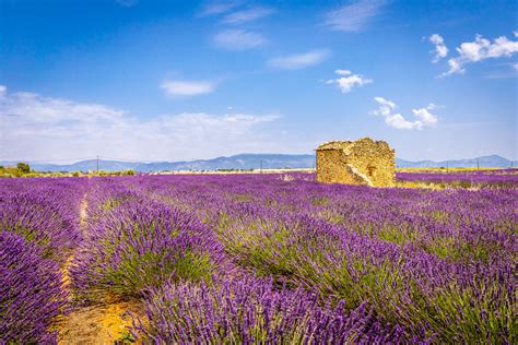 Provence Landscape Perrine Sovet Julien Perez Flickr