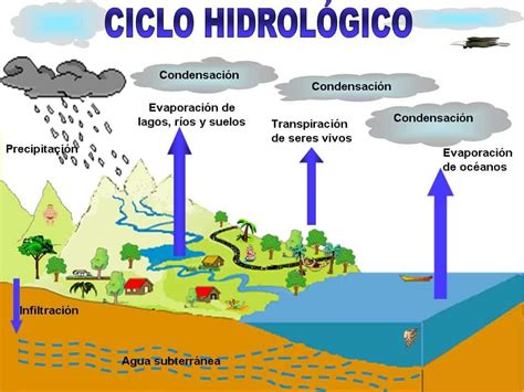 Ciclo Del Hidrógeno ¿qué Es ¿para Qué Se Usa Descúbrelo Cultura 10