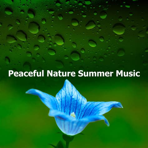 Peaceful Nature Summer Music Album By Peaceful Nature Music Spotify