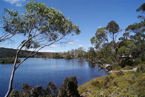 Hd Wallpaper Lake Nature Tasmania Cradle Mountain National Park