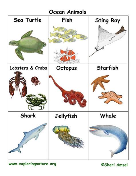 Ocean Animal Printables