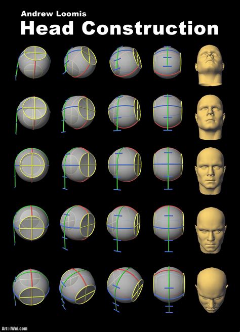3d scan head man free 3d model fo modo 801. How to Draw the Head | Art of Wei