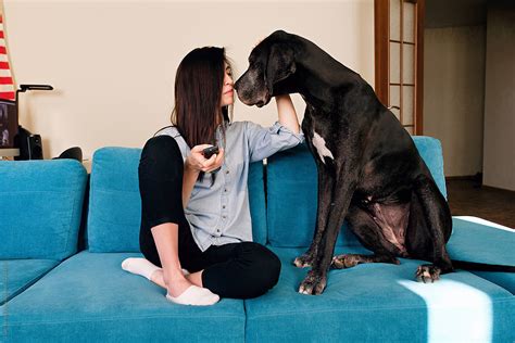 Woman With Dog On Couch By Stocksy Contributor Danil Nevsky Stocksy