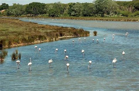 Top 10 Most Important Wetlands In The World
