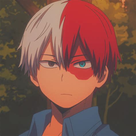 80 Aesthetic Todoroki Profile Pic Iwannafile