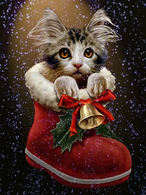 457 Best Christmas Catsboard 4 Images On Pinterest
