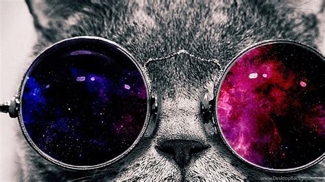 Space Galaxy Cat With Glasses Page 5 Pics About Space Desktop Background