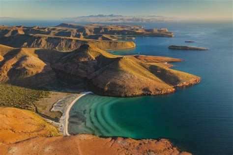 Wild Nature In Baja California And The Sea Of Cortez Huffpost Life