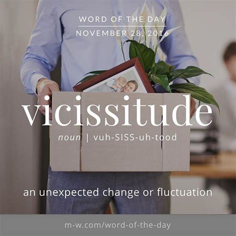 Vicissitude Merriamwebster Dictionary Language Fancy Words