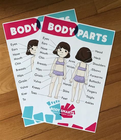 Body Parts Anatomy Sex Ed Private Parts Poster Etsy Uk