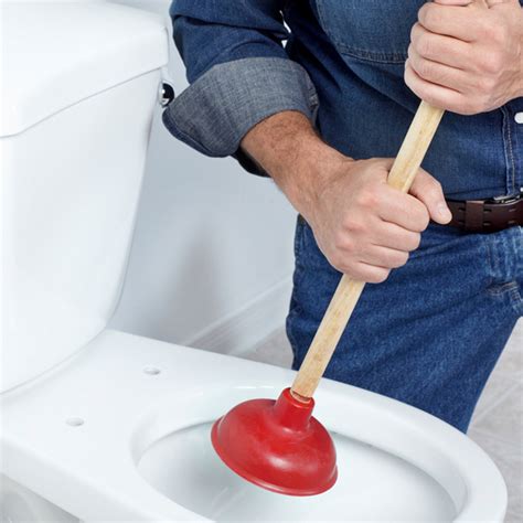 Toilet Plunger 【国際ブランド】