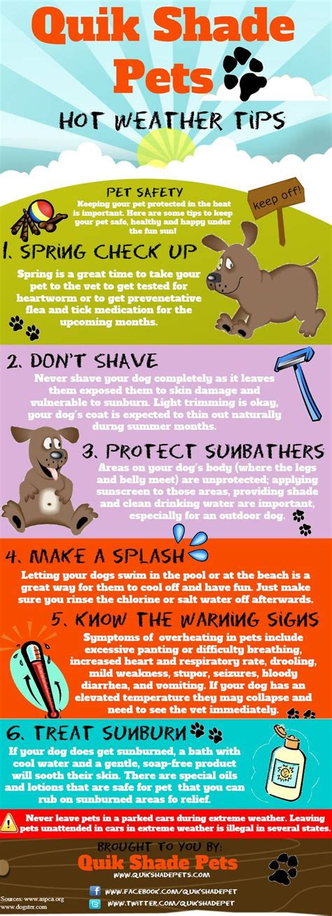 30 Pet Safety Infographics That Could Save Your Pet The Cottage